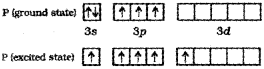 Plus One Chemistry Chapter Wise Previous Questions Chapter 4 Chemical Bonding and Molecular Structure 6