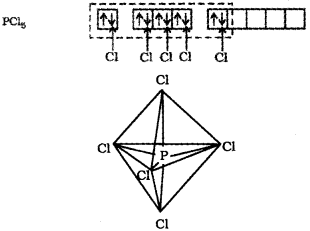 Plus One Chemistry Chapter Wise Previous Questions Chapter 4 Chemical Bonding and Molecular Structure 7