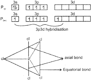 Plus One Chemistry Chapter Wise Previous Questions Chapter 4 Chemical Bonding and Molecular Structure 8