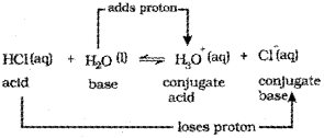 Plus One Chemistry Chapter Wise Previous Questions Chapter 7 Equilibrium 20