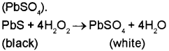 Plus One Chemistry Chapter Wise Previous Questions Chapter 9 Hydrogen 11