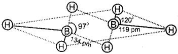 Plus One Chemistry Chapter Wise Questions and Answers Chapter 11 The p-Block Elements 2M Q6