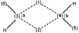 Plus One Chemistry Chapter Wise Questions and Answers Chapter 11 The p-Block Elements 3M Q3