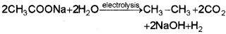 Plus One Chemistry Chapter Wise Questions and Answers Chapter 13 Hydrocarbons 3M Q4.1