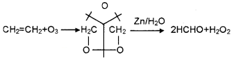 Plus One Chemistry Chapter Wise Questions and Answers Chapter 13 Hydrocarbons 3M Q4.2