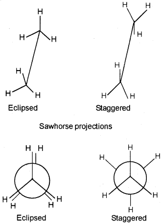 Plus One Chemistry Chapter Wise Questions and Answers Chapter 13 Hydrocarbons 3M Q6