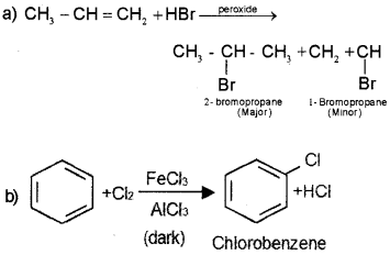 Plus One Chemistry Chapter Wise Questions and Answers Chapter 13 Hydrocarbons 3M Q7