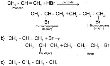 Plus One Chemistry Chapter Wise Questions and Answers Chapter 13 Hydrocarbons 3M Q8.1