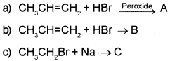 Plus One Chemistry Chapter Wise Questions and Answers Chapter 13 Hydrocarbons 3M Q8