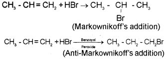 Plus One Chemistry Chapter Wise Questions and Answers Chapter 13 Hydrocarbons 4M Q10