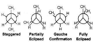 Plus One Chemistry Chapter Wise Questions and Answers Chapter 13 Hydrocarbons 4M Q6.1