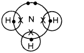 Plus One Chemistry Chapter Wise Questions and Answers Chapter 4 Chemical Bonding and Molecular Structure 3M Q16