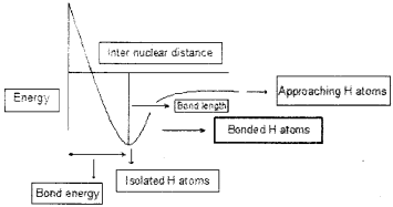 Plus One Chemistry Chapter Wise Questions and Answers Chapter 4 Chemical Bonding and Molecular Structure 3M Q5