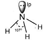 Plus One Chemistry Chapter Wise Questions and Answers Chapter 4 Chemical Bonding and Molecular Structure 3M Q9.1