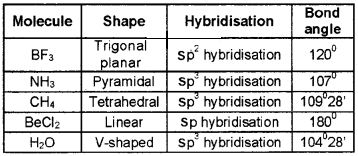 Plus One Chemistry Chapter Wise Questions and Answers Chapter 4 Chemical Bonding and Molecular Structure 4M Q7.1