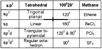 Plus One Chemistry Chapter Wise Questions and Answers Chapter 4 Chemical Bonding and Molecular Structure 4M Q9.1