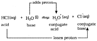 Plus One Chemistry Chapter Wise Questions and Answers Chapter 7 Equilibrium 3M Q22