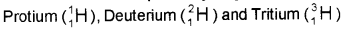 Plus One Chemistry Chapter Wise Questions and Answers Chapter 9 Hydrogen 1M Q6