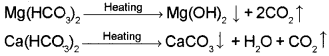 Plus One Chemistry Chapter Wise Questions and Answers Chapter 9 Hydrogen 3M Q6