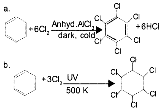 Plus One Chemistry Model Question Papers Paper 1 48