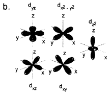 Plus One Chemistry Model Question Papers Paper 1 53