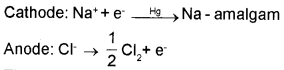 Plus One Chemistry Notes Chapter 10 The s Block Elements 2