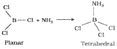 Plus One Chemistry Notes Chapter 11 The p Block Elements 1