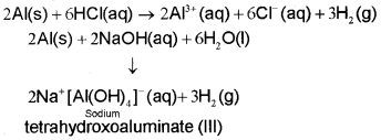 Plus One Chemistry Notes Chapter 11 The p Block Elements 3