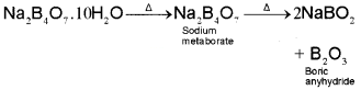 Plus One Chemistry Notes Chapter 11 The p Block Elements 5