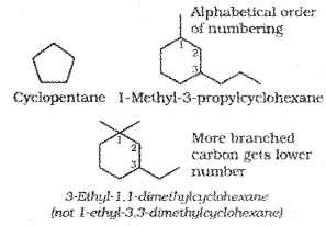 Plus One Chemistry Notes Chapter 12 Organic Chemistry Some Basic Principles and Techniques 15