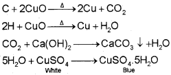 Plus One Chemistry Notes Chapter 12 Organic Chemistry Some Basic Principles and Techniques 29