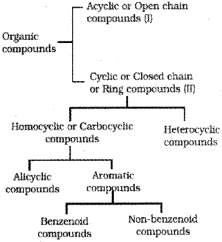 Plus One Chemistry Notes Chapter 12 Organic Chemistry Some Basic Principles and Techniques 3