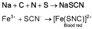 Plus One Chemistry Notes Chapter 12 Organic Chemistry Some Basic Principles and Techniques 34