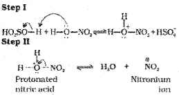 Plus One Chemistry Notes Chapter 13 Hydrocarbons 57