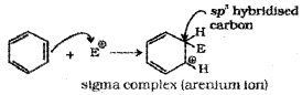 Plus One Chemistry Notes Chapter 13 Hydrocarbons 58