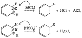 Plus One Chemistry Notes Chapter 13 Hydrocarbons 60