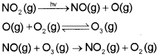 Plus One Chemistry Notes Chapter 14 Environmental Chemistry 2