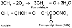 Plus One Chemistry Notes Chapter 14 Environmental Chemistry 3