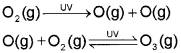 Plus One Chemistry Notes Chapter 14 Environmental Chemistry 4