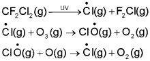 Plus One Chemistry Notes Chapter 14 Environmental Chemistry 5