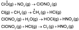 Plus One Chemistry Notes Chapter 14 Environmental Chemistry 6