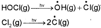 Plus One Chemistry Notes Chapter 14 Environmental Chemistry 7