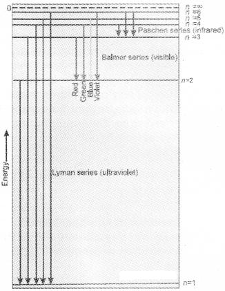 Plus One Chemistry Notes Chapter 2 Structure of Atom 3