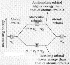 Plus One Chemistry Notes Chapter 4 Chemical Bonding and Molecular Structure 24