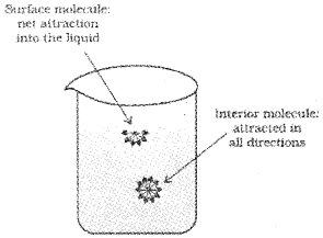 Plus One Chemistry Notes Chapter 5 States of Matter 9