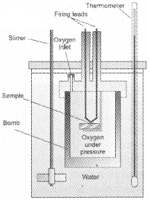 Plus One Chemistry Notes Chapter 6 Thermodynamics 1