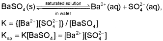 Plus One Chemistry Notes Chapter 7 Equilibrium 10