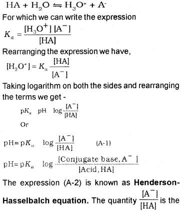 Plus One Chemistry Notes Chapter 7 Equilibrium 11