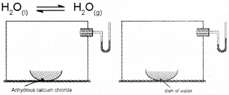 Plus One Chemistry Notes Chapter 7 Equilibrium 2