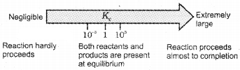 Plus One Chemistry Notes Chapter 7 Equilibrium 5